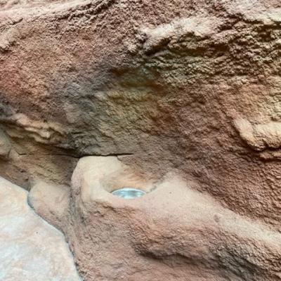 Zoo de Prague Troja – Pavillon des gorilles