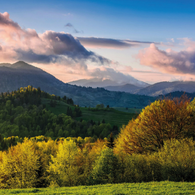 NOUS PENSONS AUX GÉNÉRATIONS FUTURES