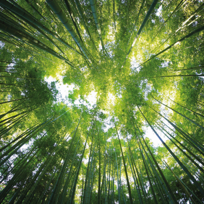 NOUS PENSONS AUX GÉNÉRATIONS FUTURES